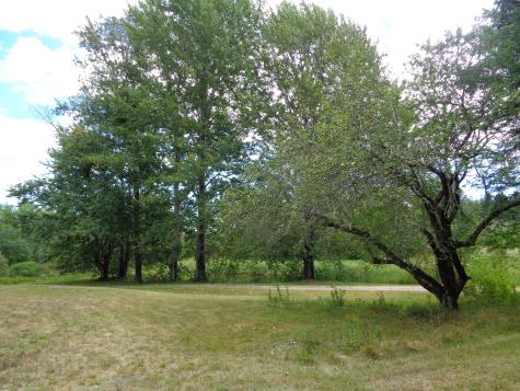 834 W West Bay Road Gouldsboro ME 04607