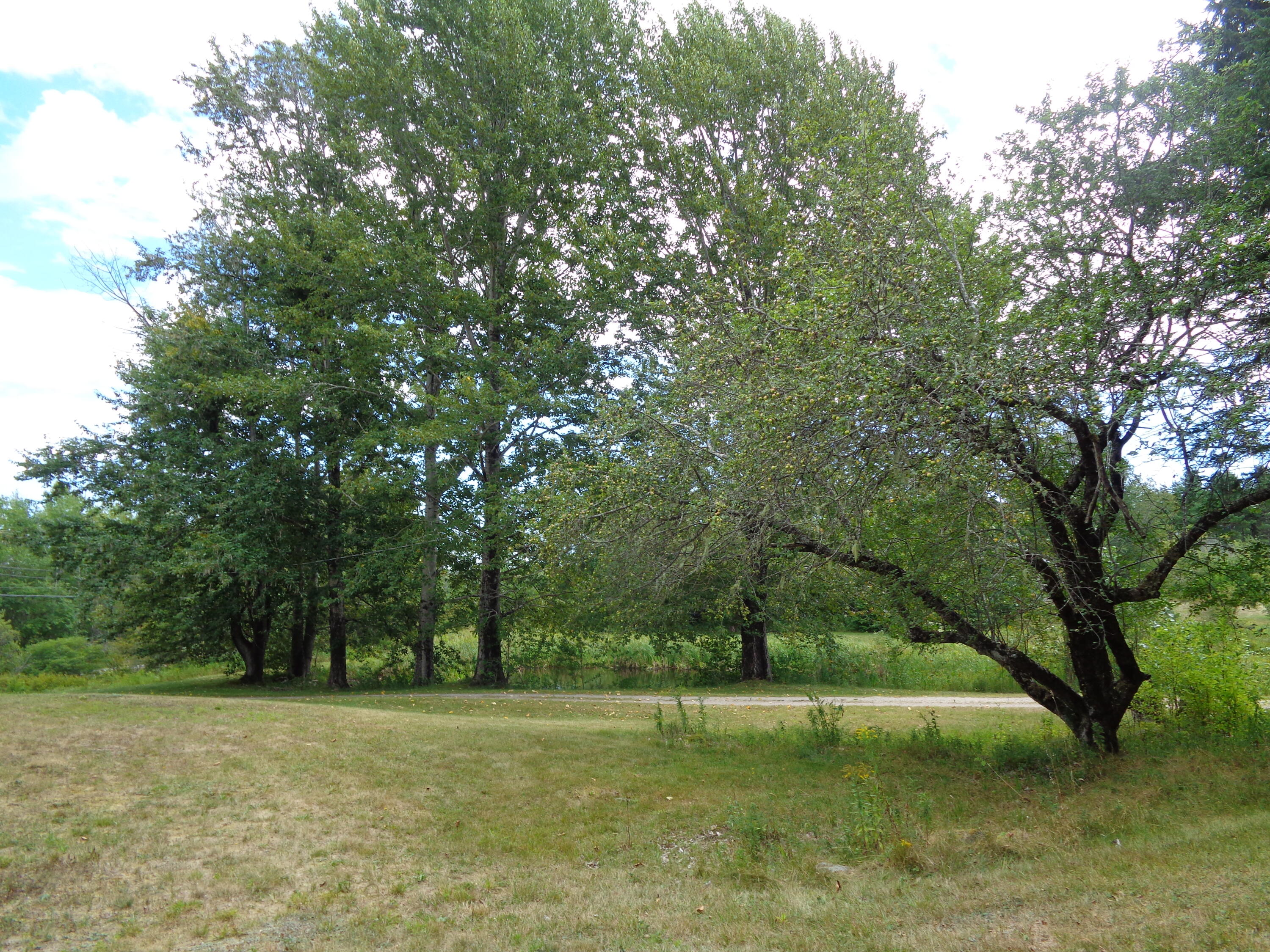 834 W West Bay Road Gouldsboro ME 04607