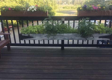 76 E Main Street Fort Kent ME 04743