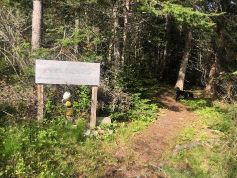 288 Mooseneck Road Addison ME 04606