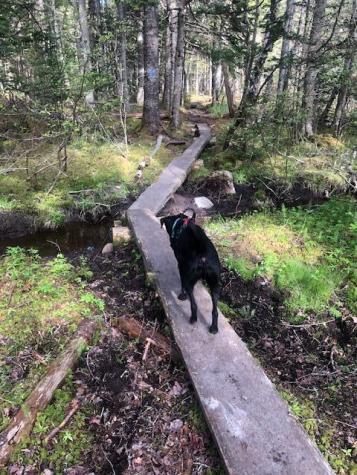 288 Mooseneck Road Addison ME 04606