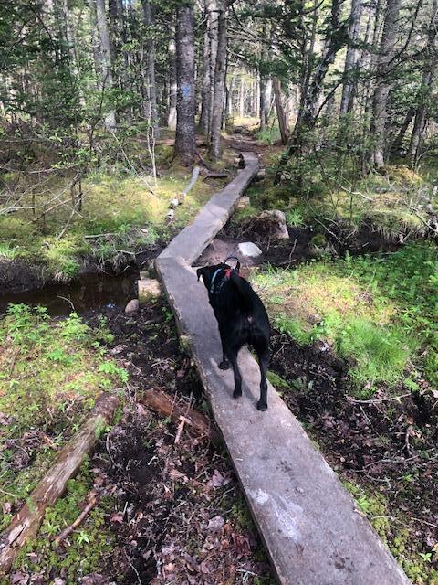 288 Mooseneck Road Addison ME 04606