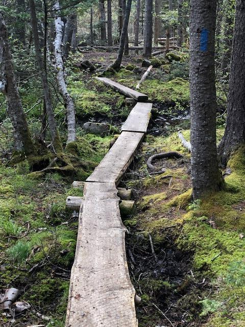 288 Mooseneck Road Addison ME 04606