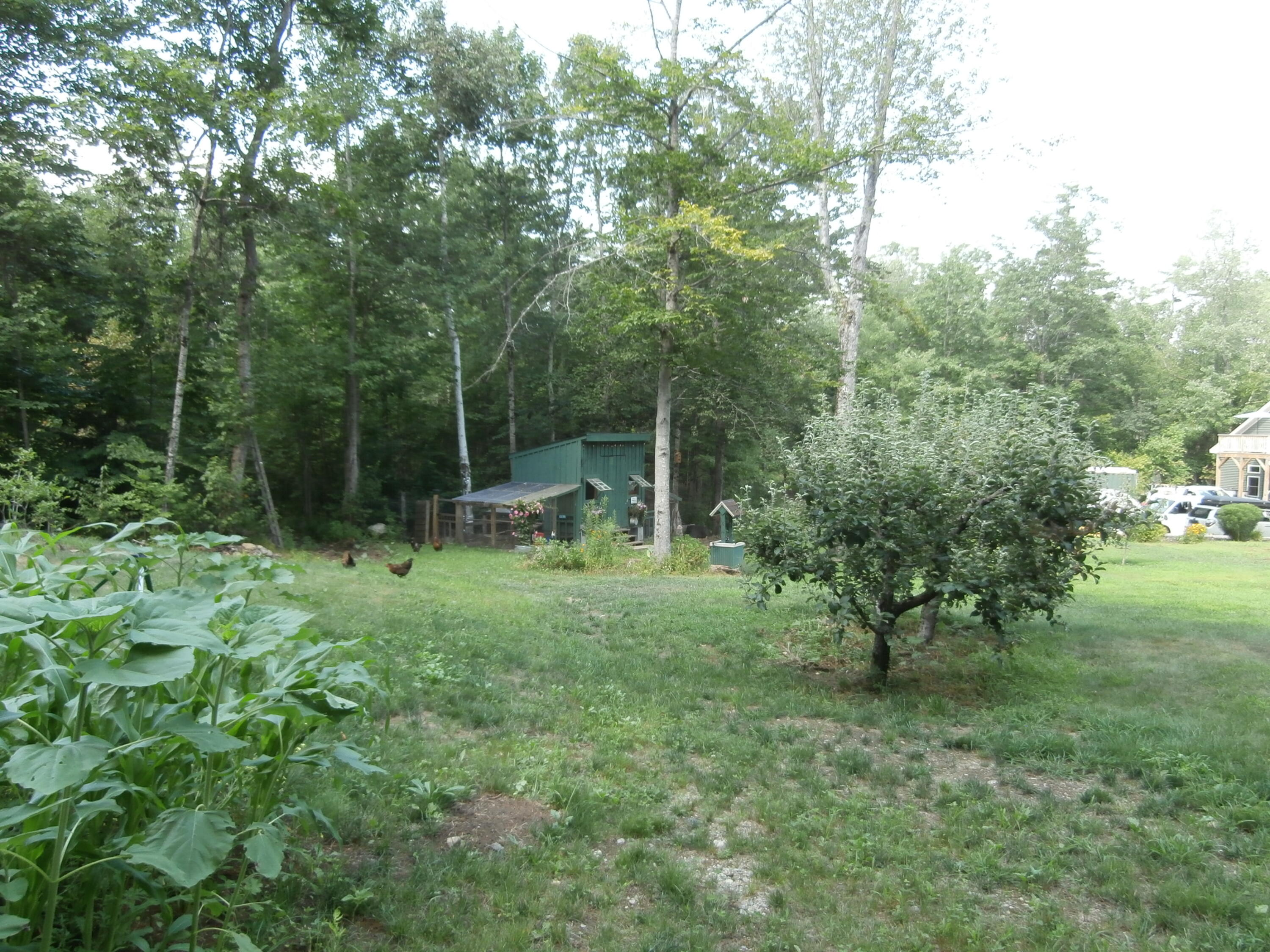 389 Goose Pond Road Acton ME 04001