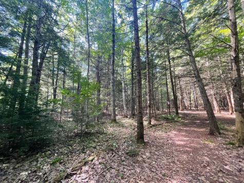 15 Tinkers Way Freeport ME 04032