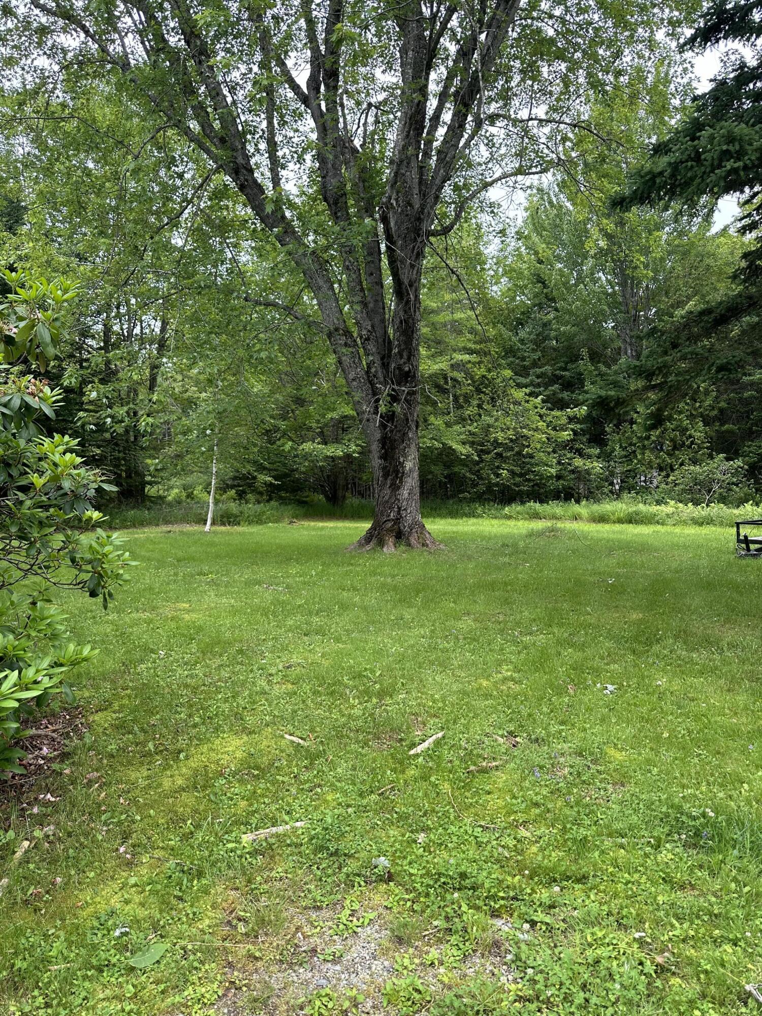 710 Willey District Road Cherryfield ME 04622