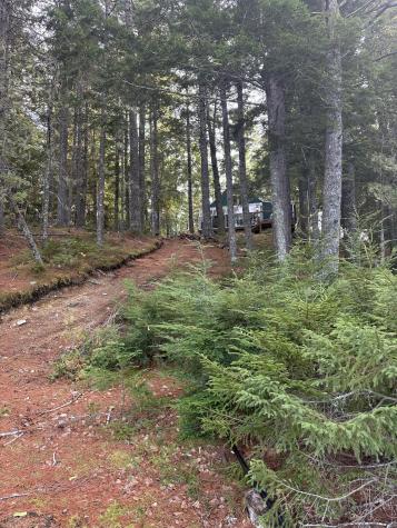 24 Hill Lane Beddington ME 04622