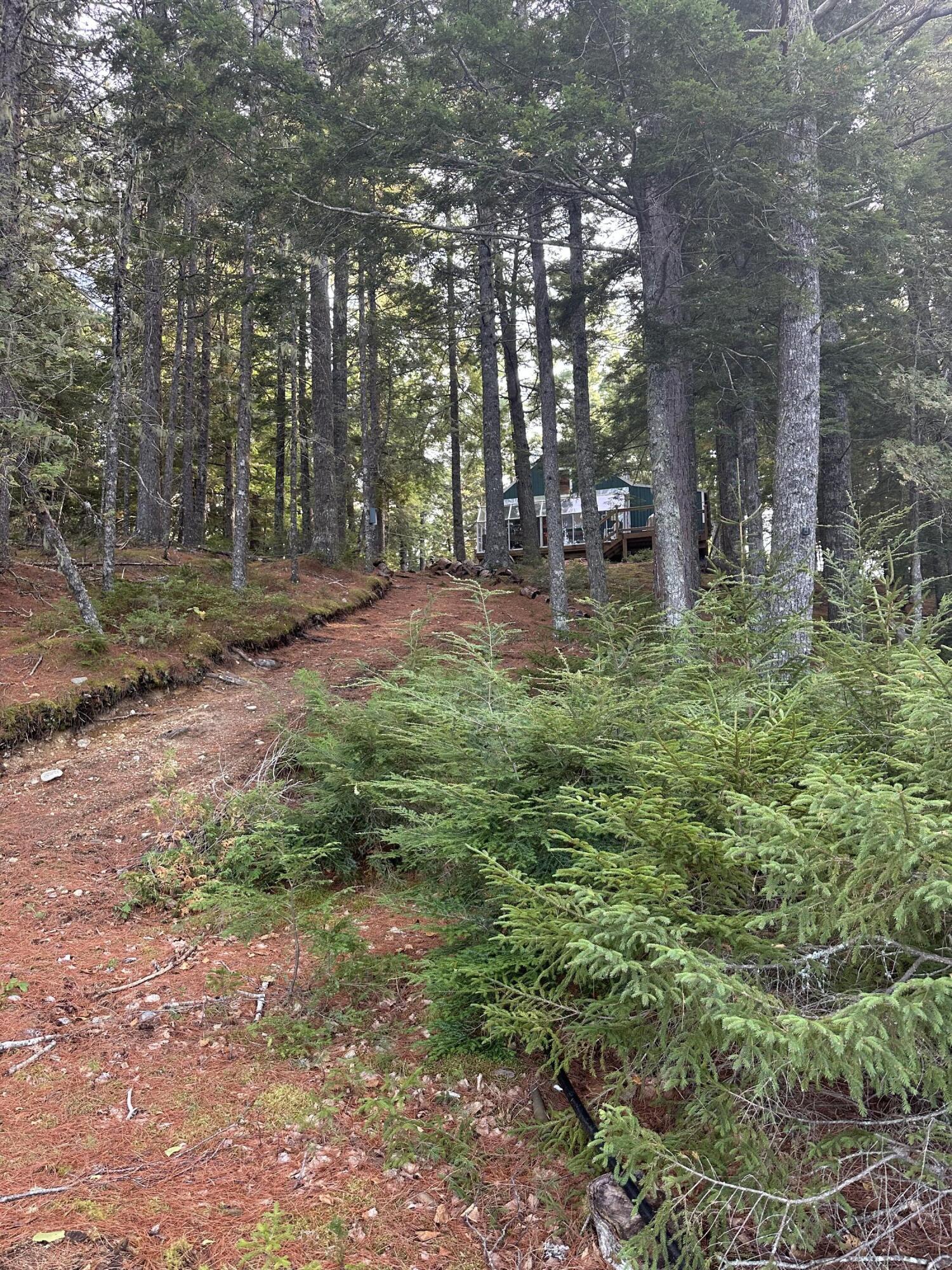 24 Hill Lane Beddington ME 04622