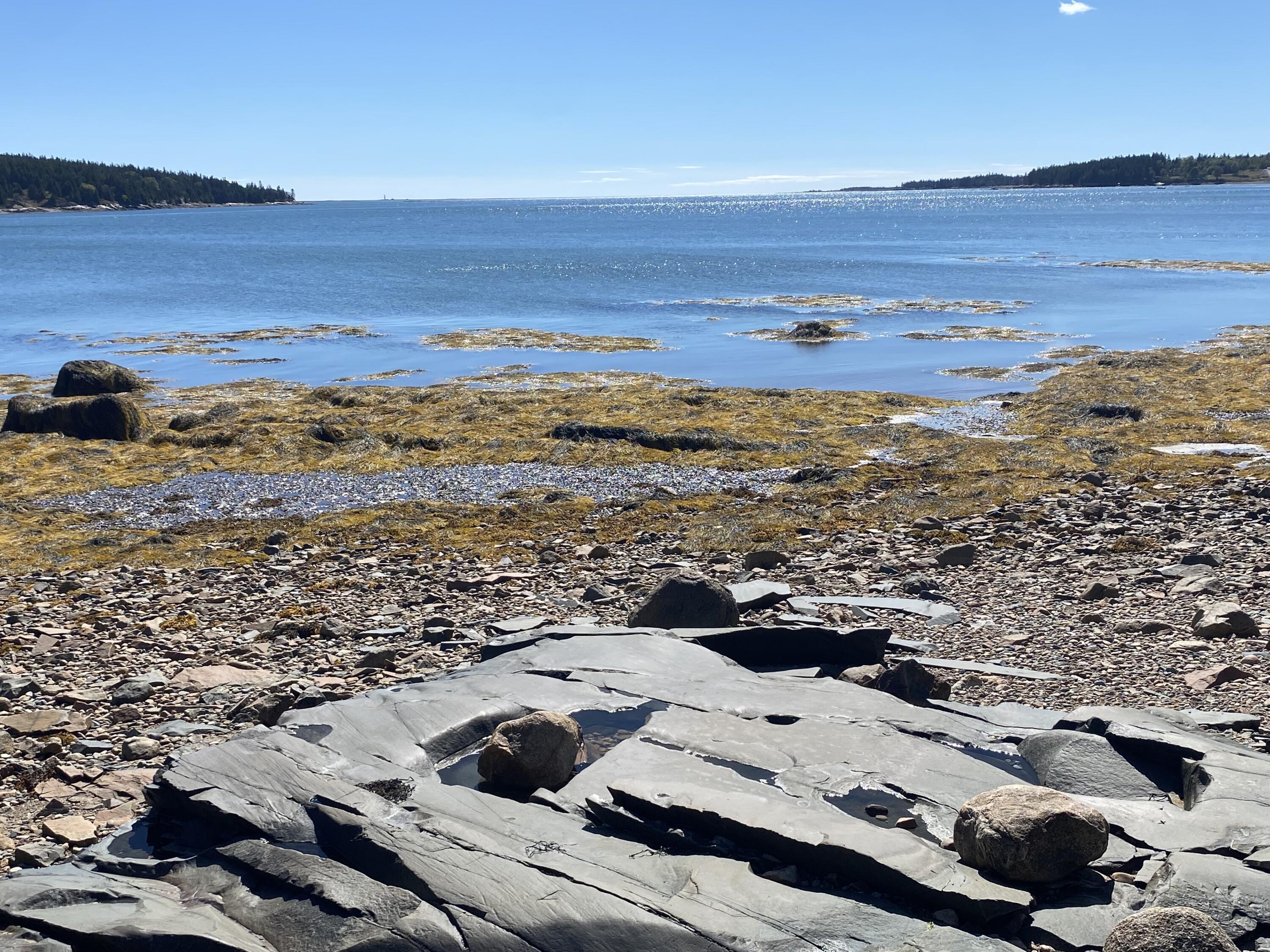 33 Chipman Point Road Steuben ME 04680