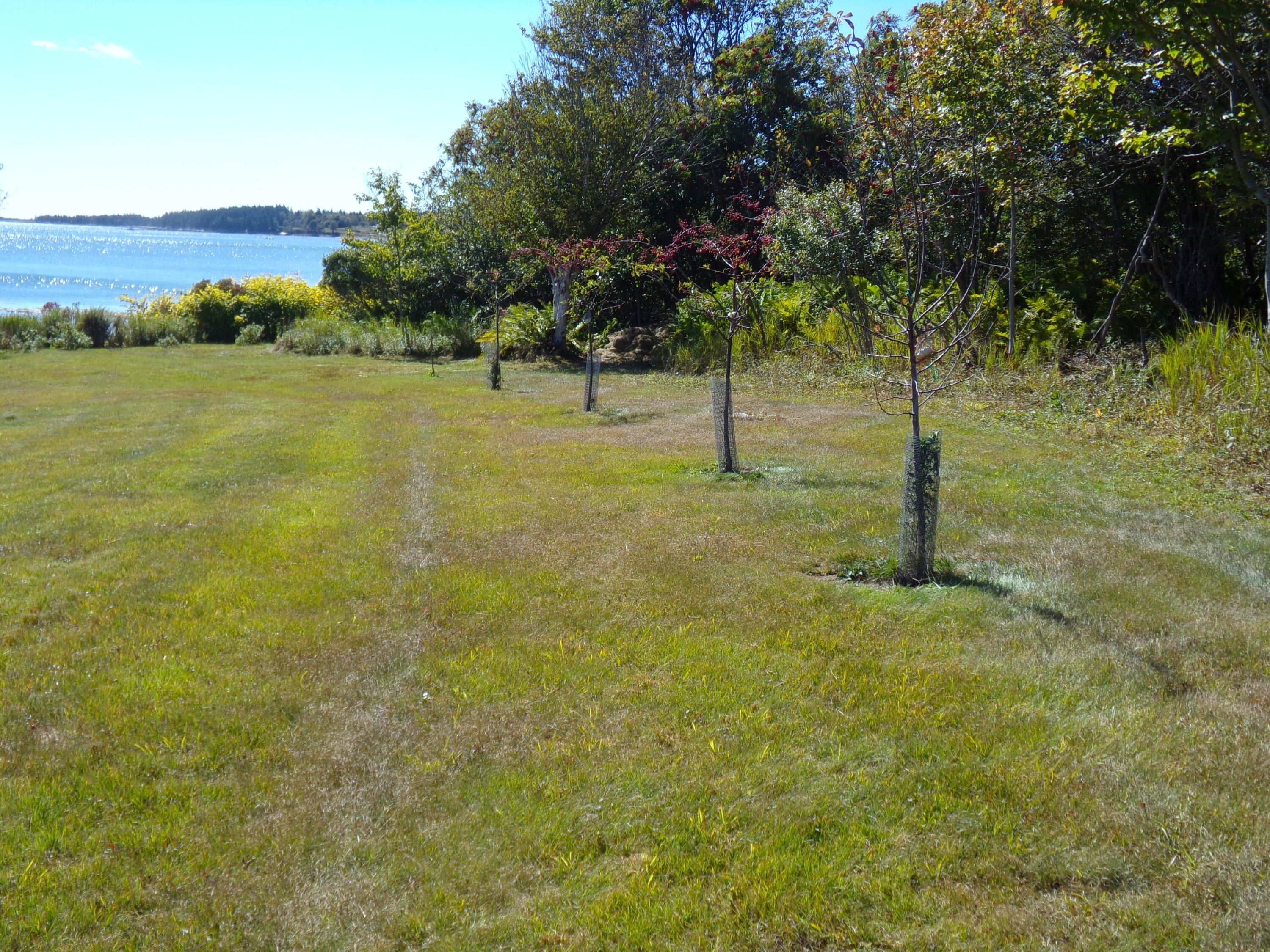 33 Chipman Point Road Steuben ME 04680