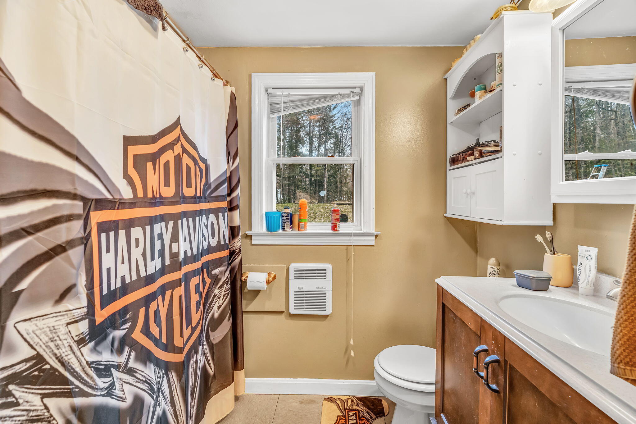 1717 Canaan Road Hartland ME 04943