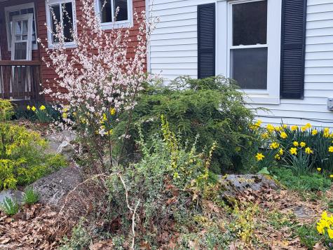 564 Avenue Road Levant ME 04456