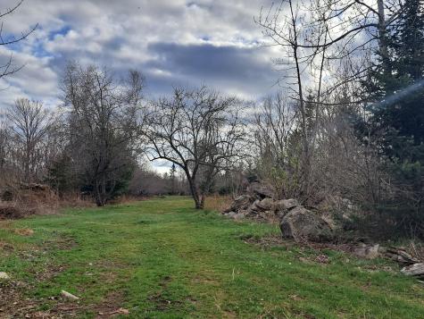 564 Avenue Road Levant ME 04456