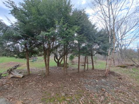 564 Avenue Road Levant ME 04456