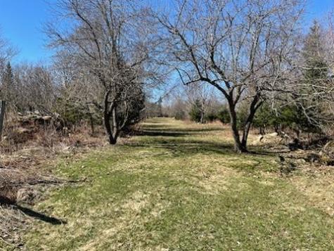 564 Avenue Road Levant ME 04456