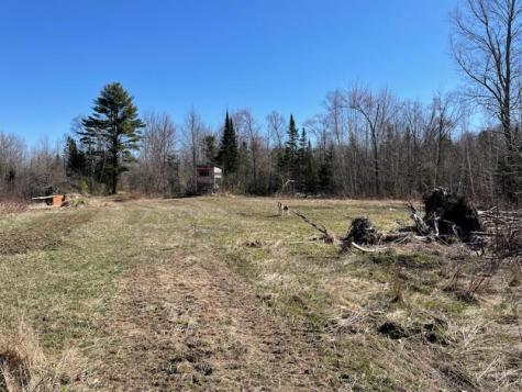 564 Avenue Road Levant ME 04456