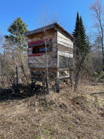 564 Avenue Road Levant ME 04456