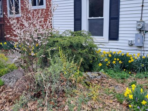 564 Avenue Road Levant ME 04456