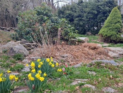 564 Avenue Road Levant ME 04456