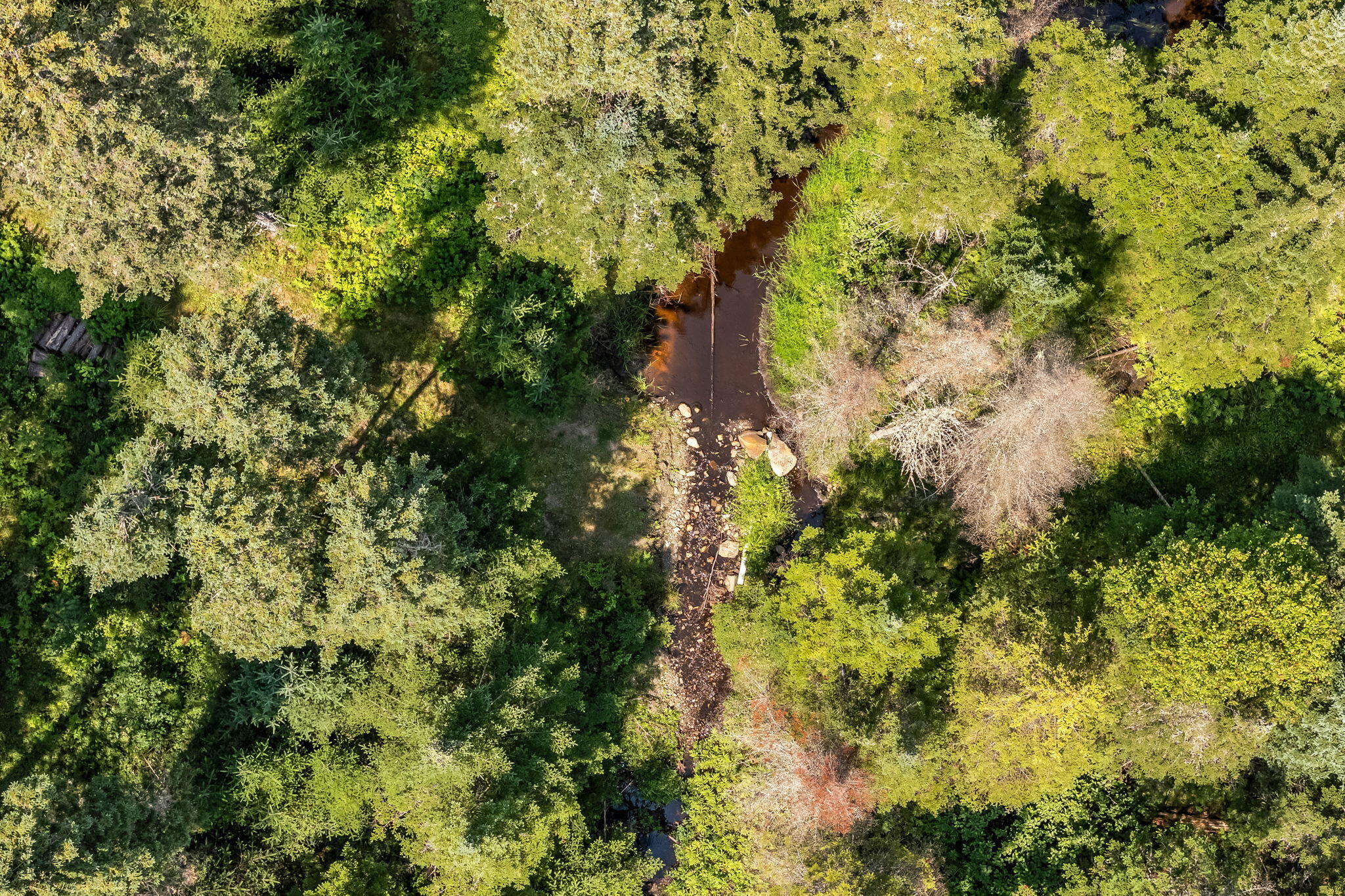 658 Mingo Loop Road Rangeley ME 04970