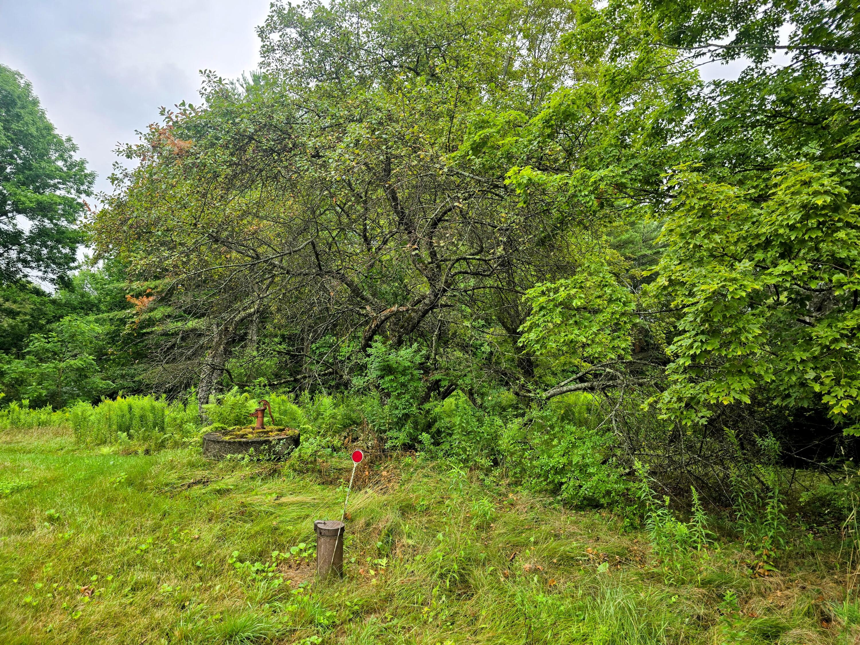705 Plains Road Mount Vernon ME 04352