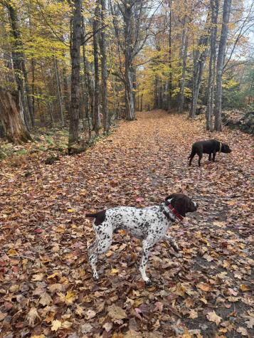 214 Desert Pond Road Mount Vernon ME 04352