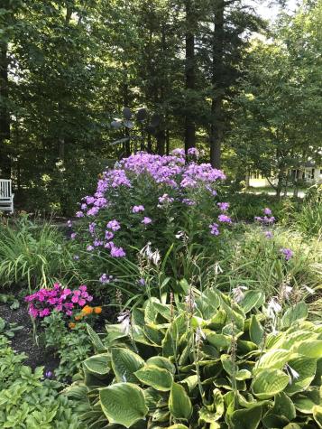 306 Hamilton Terrace Pittsfield ME 04967