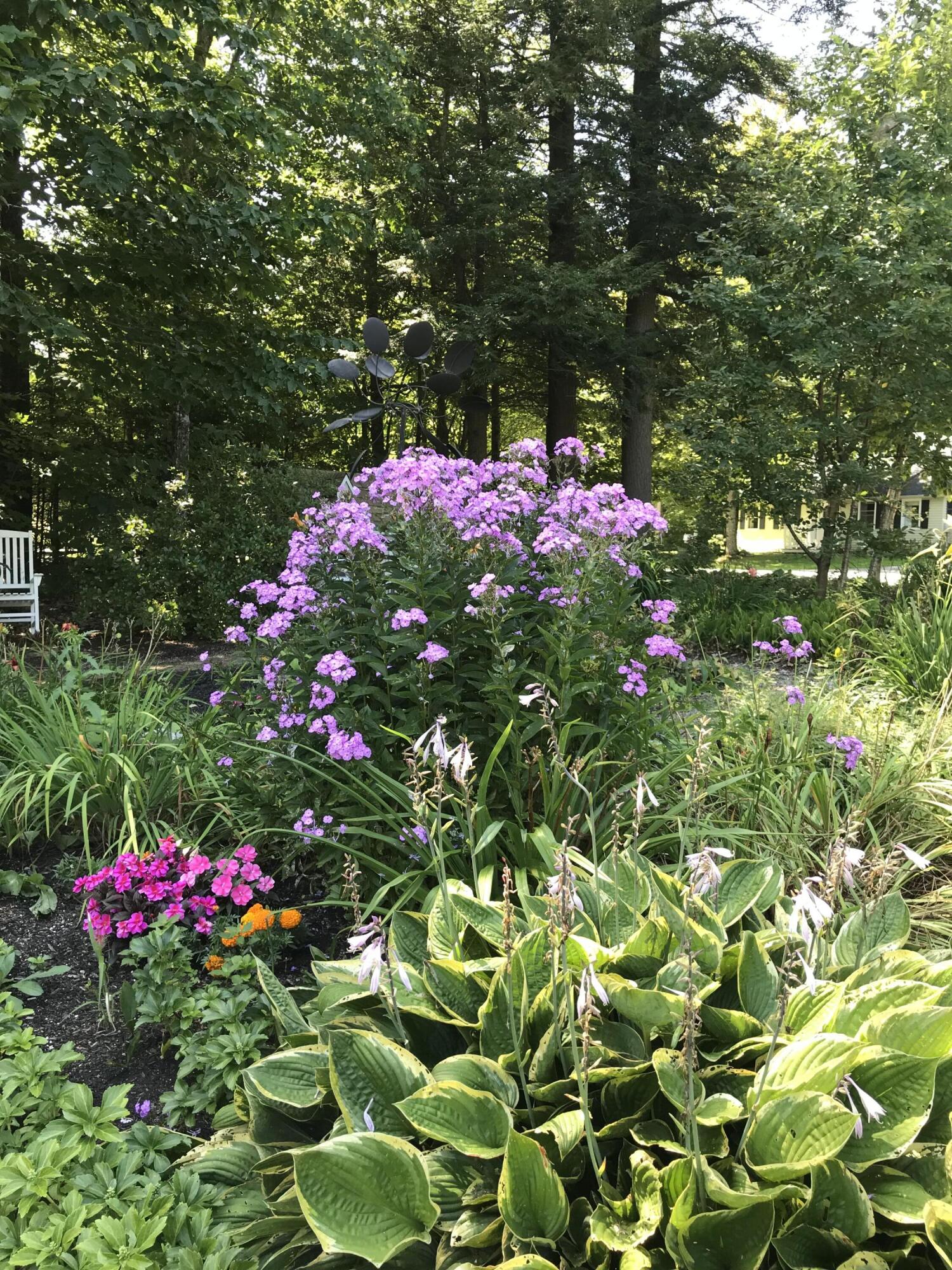 306 Hamilton Terrace Pittsfield ME 04967