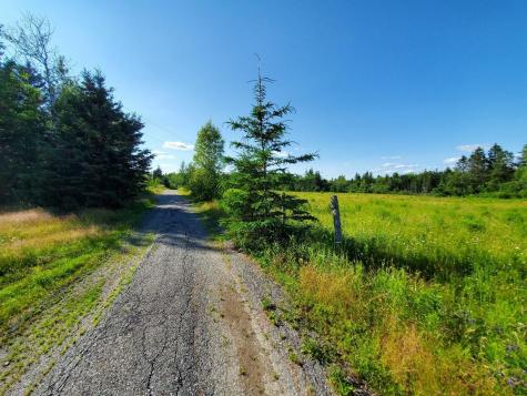 299 Centerville Road Columbia Falls ME 04623