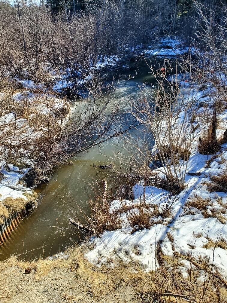 299 Centerville Road Columbia Falls ME 04623