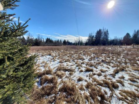 299 Centerville Road Columbia Falls ME 04623