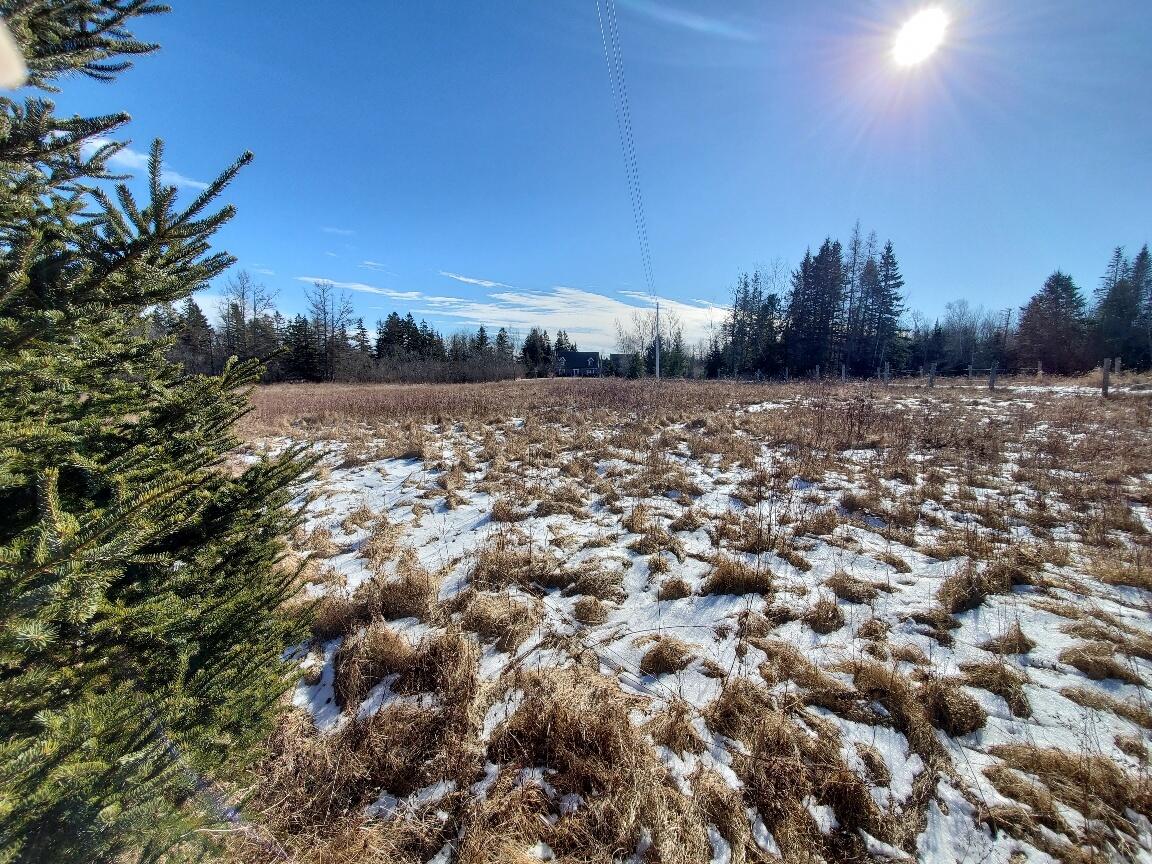 299 Centerville Road Columbia Falls ME 04623