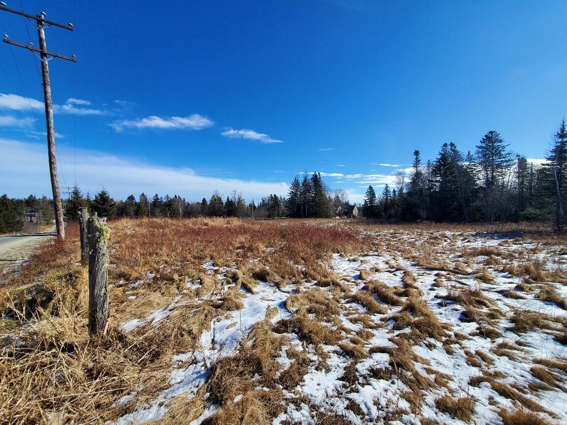 299 Centerville Road Columbia Falls ME 04623