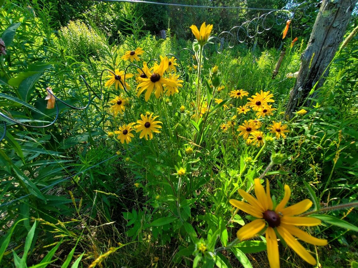 299 Centerville Road Columbia Falls ME 04623