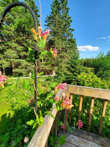 299 Centerville Road Columbia Falls ME 04623