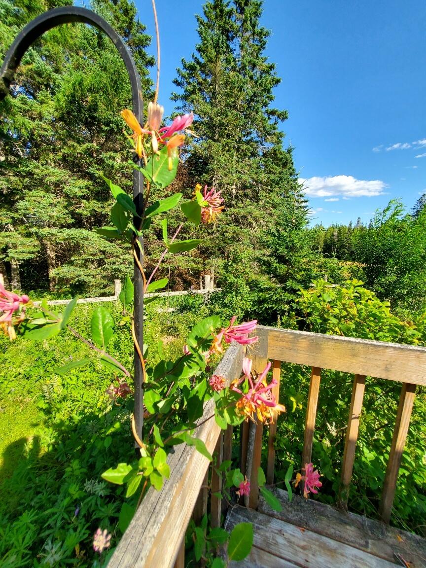 299 Centerville Road Columbia Falls ME 04623