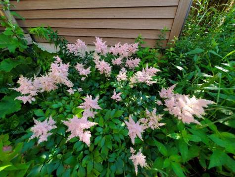 299 Centerville Road Columbia Falls ME 04623