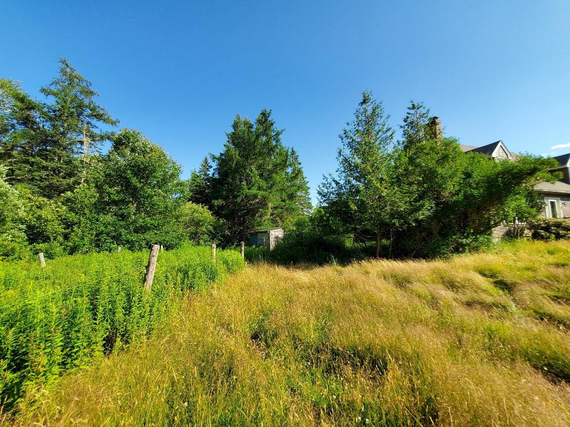 299 Centerville Road Columbia Falls ME 04623