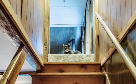 428 Cathance Road Topsham ME 04086