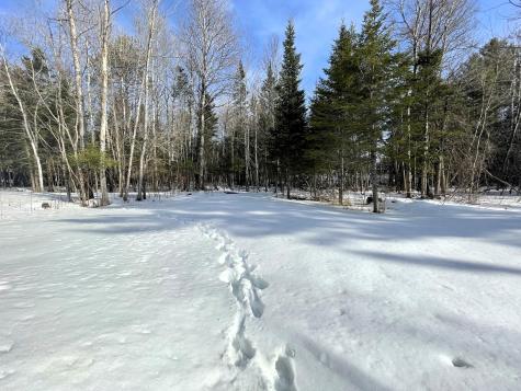 7 Birch Street Jackman ME 04945