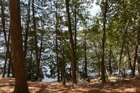 78 Martin Road Saint Albans ME 04971