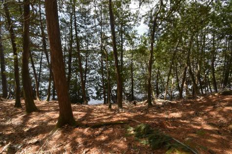 78 Martin Road Saint Albans ME 04971