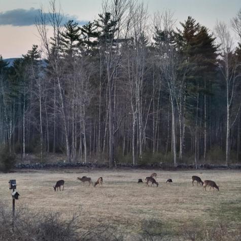 199 Lovell Road Sweden ME 04040