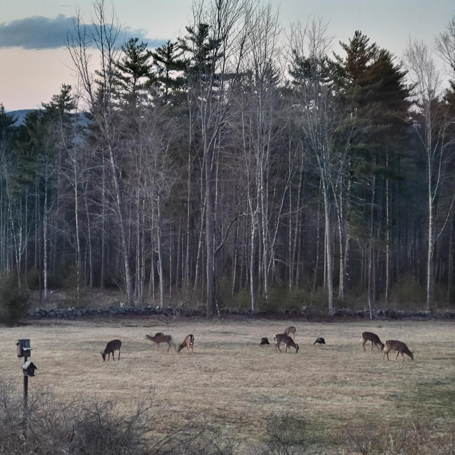 199 Lovell Road Sweden ME 04040