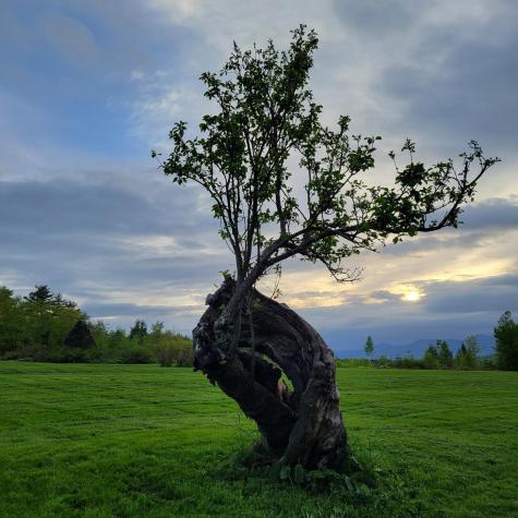 199 Lovell Road Sweden ME 04040