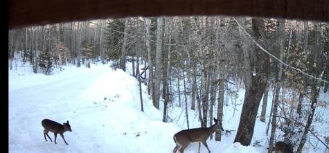 8 Magnolia Lane Starks ME 04938