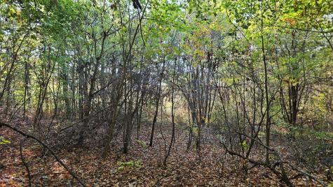 292 Lincoln Street Pittsfield ME 04967