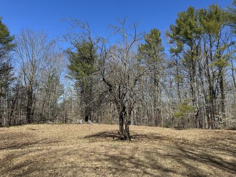 2586 Acton Ridge Road Newfield ME 04095