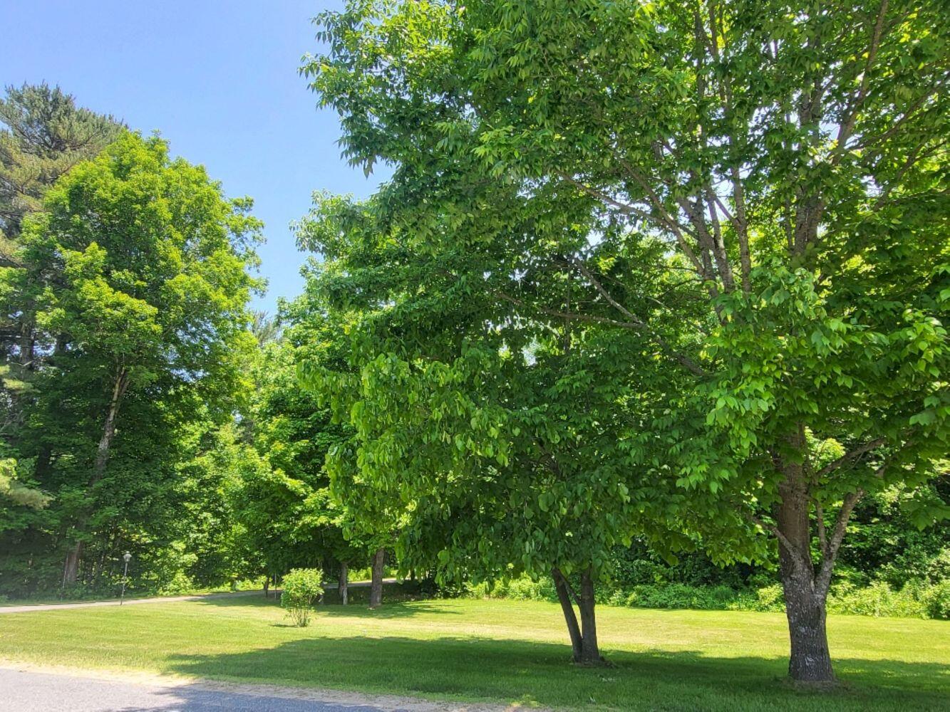 85 Belanger Road Jay ME 04239