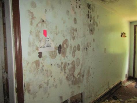 22 Shamrock Lane Damariscotta ME 04543